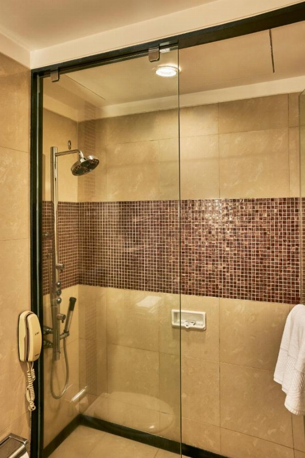 Krishna Palace Hotel image 12